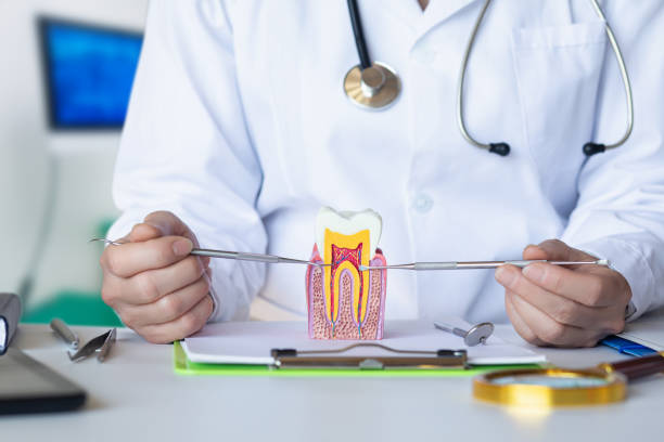 Best Urgent Care for Lost Fillings or Crowns in Black Creek, WI